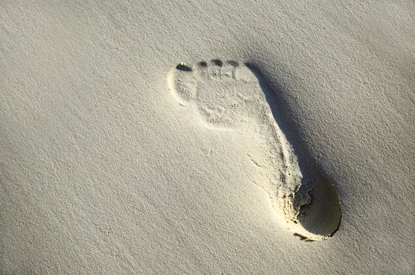 Un paso en una playa 5 — Foto de Stock