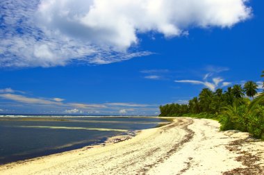 Hint Okyanusu'nda sonsuz beach