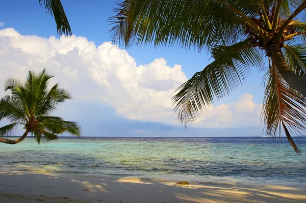 Ochtend strand aan de Indische Oceaan — Stockfoto