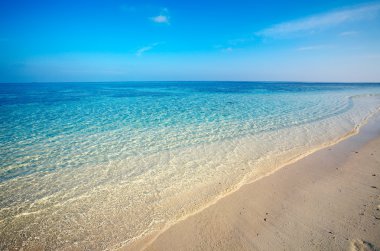 playa tropical de arena