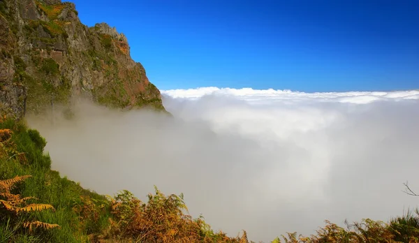 Above the Staggering Clouds — Stock Photo, Image