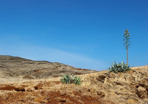 Blue sky — Stock Photo, Image