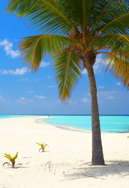 Playa tropical infinita — Foto de Stock