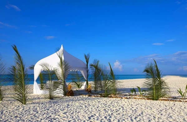 Tenda de casamento branco — Fotografia de Stock