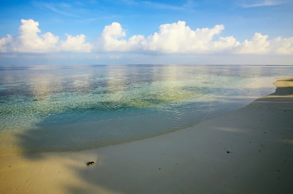 Playa tropical de arena — Stok fotoğraf