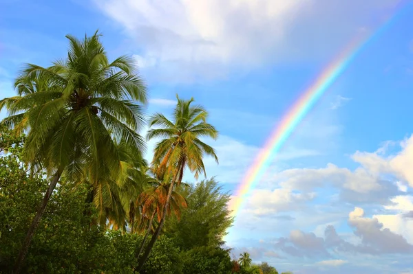 Landschap met regenboog Rechtenvrije Stockfoto's