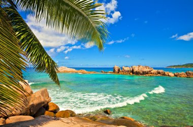 deniz manzarası görünümü