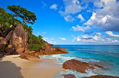 deniz manzarası görünümü