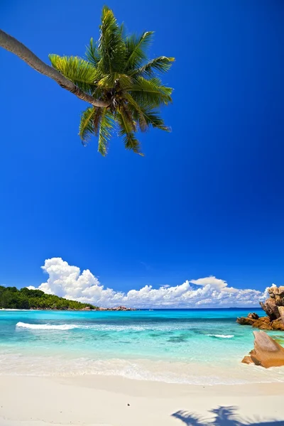 Vista de paisagem de sonho — Fotografia de Stock