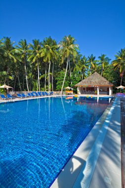 tropikal Hotel Yüzme Havuzu