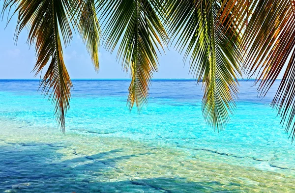 tropikal deniz manzarası