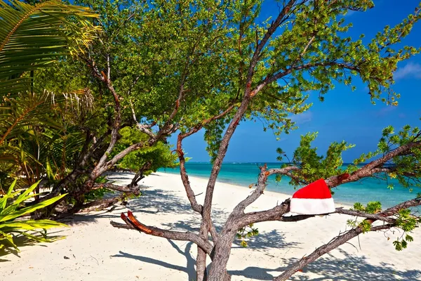 Chapéu Sata está em uma praia — Fotografia de Stock