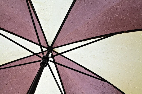 Мокрий парасольку — стокове фото
