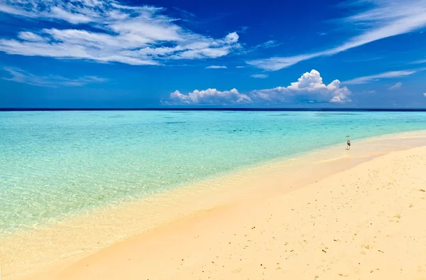 Dejlig strand - Stock-foto