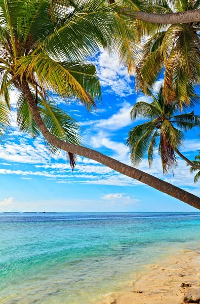 Nice beach — Stock Photo, Image