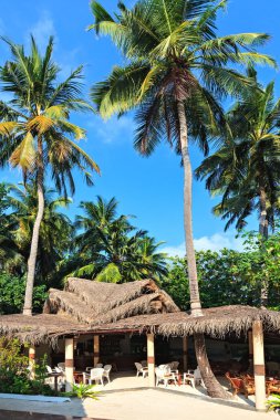 trpical otel barında