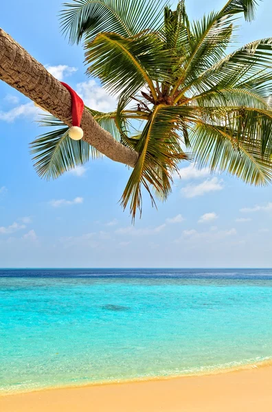 Chapeau de Père Noël est sur une plage — Photo