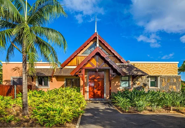 Luxury Villa Palm Tree Mauritius Indian Ocean — Stock Photo, Image