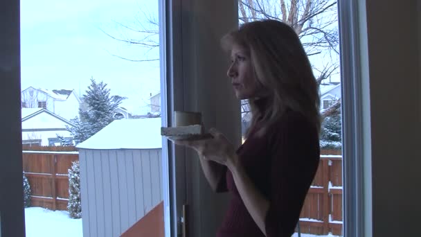 Vrouw thee drinken terwijl u uitkijkt glazen schuifdeur — Stockvideo