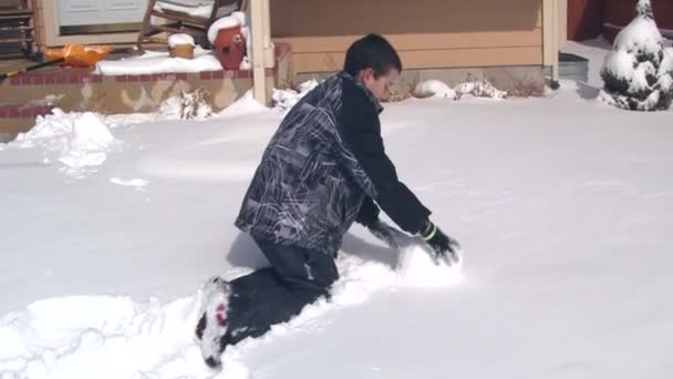 Мальчик катит большой снежок для снеговика — стоковое видео