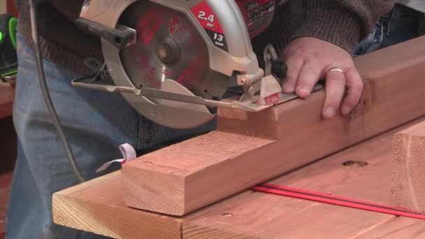 男人和男孩锯木头 — 图库视频影像