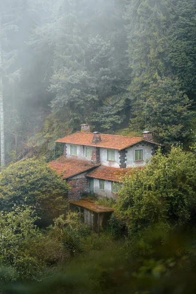 Abandoned House Hidden Green Nature Covered Light Mist High Quality — 스톡 사진
