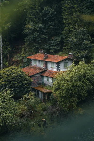 Abandoned House Hidden Green Nature Covered Light Mist High Quality — 스톡 사진