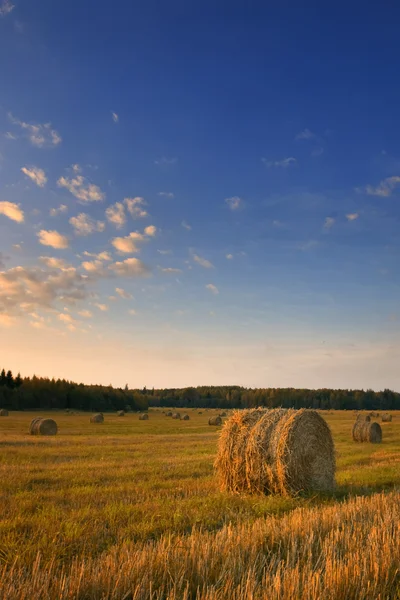 Letse landschap — Stockfoto