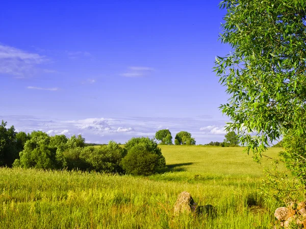 Latvian landscape — Stock Photo, Image