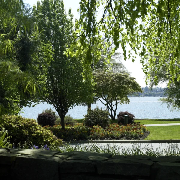 Parque y agua — Foto de Stock