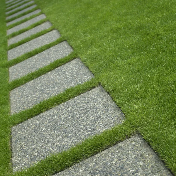 Manicured grass and stone tiles — Stock Photo, Image