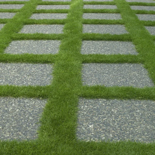 手入れの行き届いた芝生と石のタイル — ストック写真