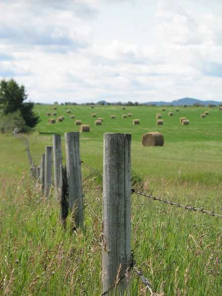 干し草の俵 — ストック写真