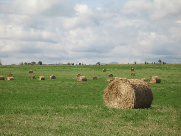 Balen hooi — Stockfoto