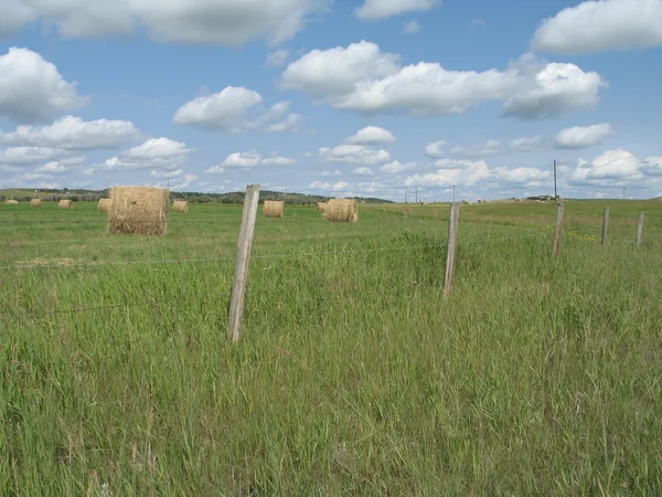 Bales of hay — Stock Photo, Image