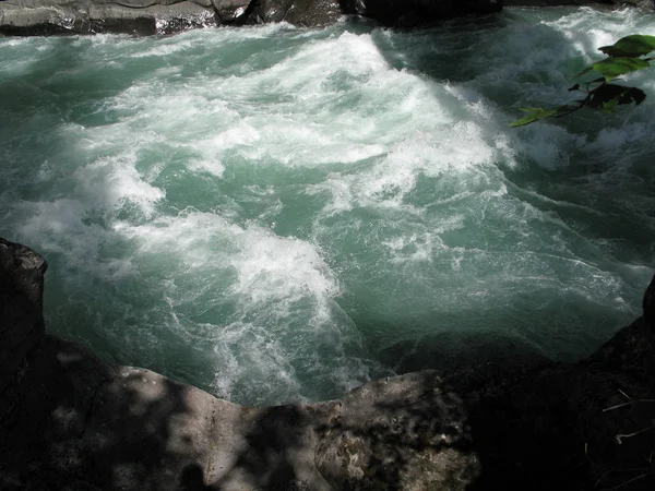 Agua verde del río — Foto de Stock