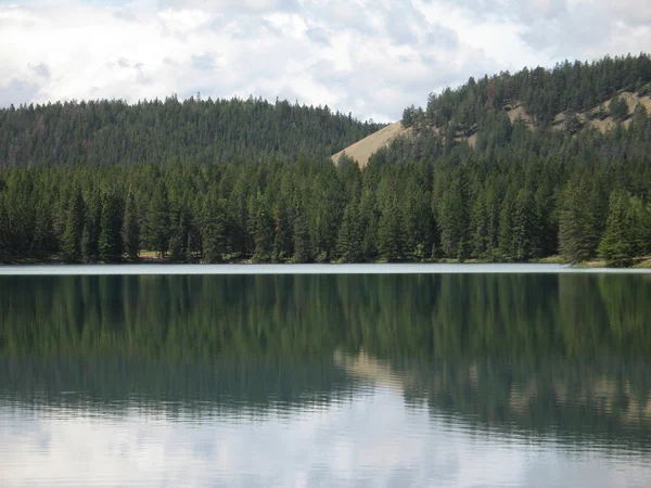 Forest Lake reflectie — Stockfoto