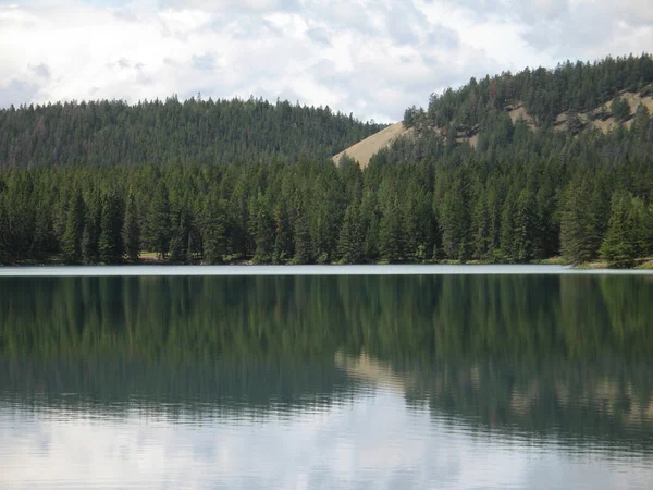 Lesní jezero reflexe — Stock fotografie