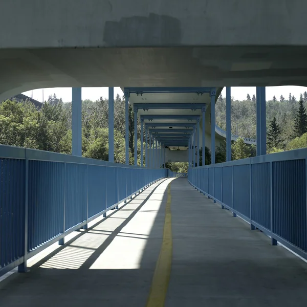 Brug pad — Stockfoto