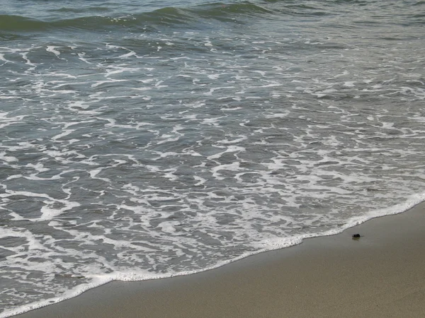 Myje pienista woda w brzegu plaży Sandy — Zdjęcie stockowe