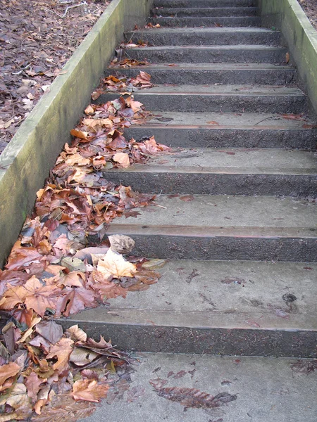 Concrete Steps — Stock Photo, Image