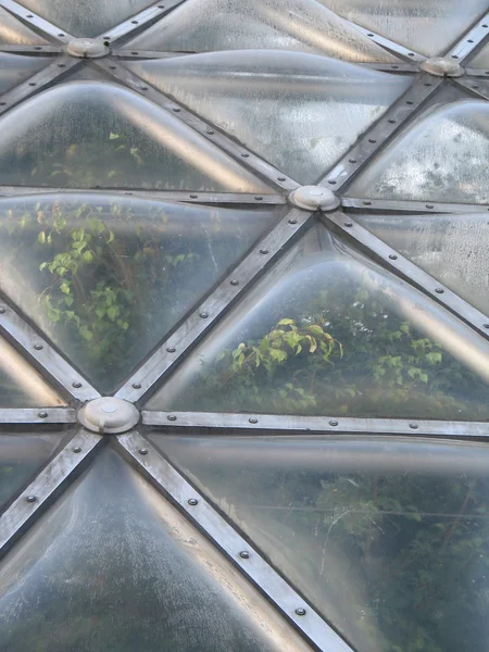 陽気な温室ドームの窓 — ストック写真