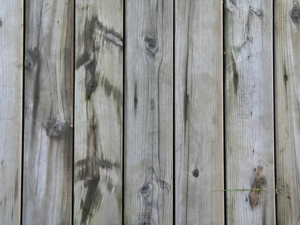 Paneles de madera — Foto de Stock