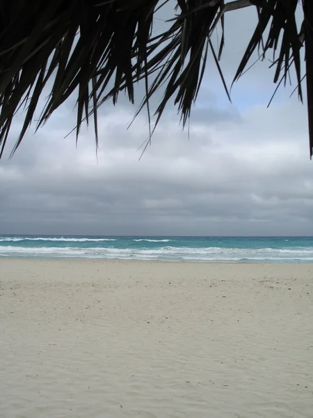 Palapa plazy — Zdjęcie stockowe