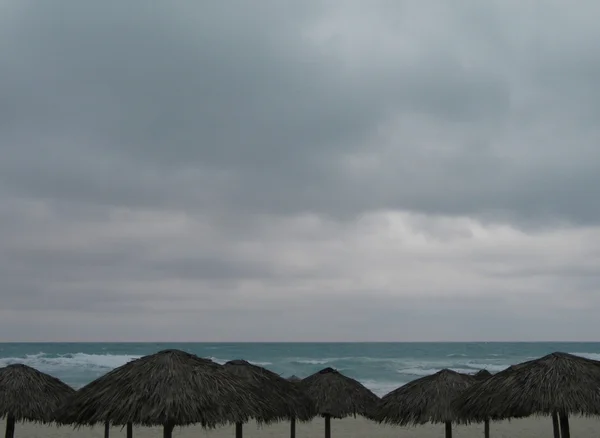 Palapa strand — Stockfoto