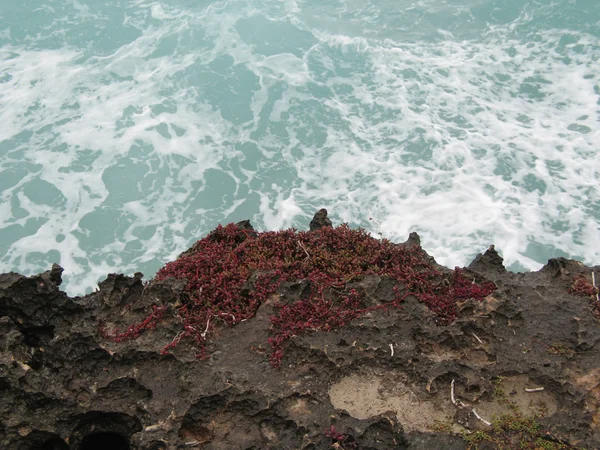 Oceano colidindo em um penhasco — Fotografia de Stock