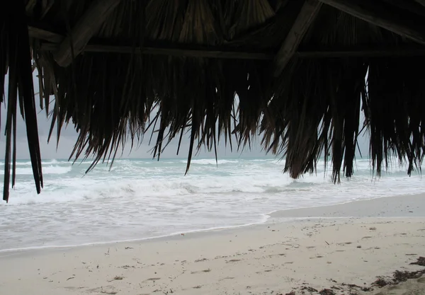 Beach — Stock Photo, Image