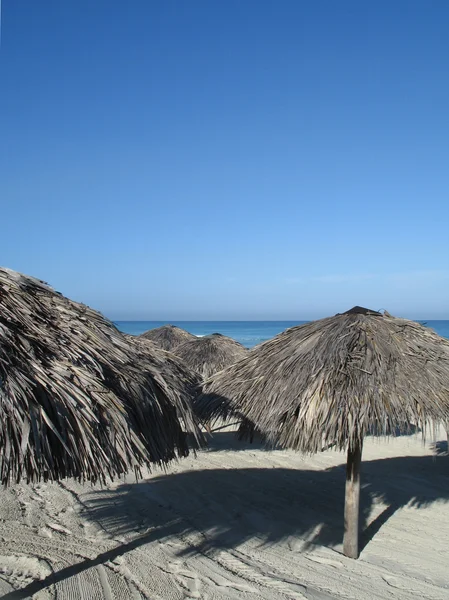 Parassóis na praia — Fotografia de Stock