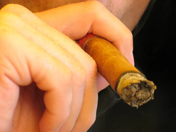 Man smoking a cigar — Stock Photo, Image
