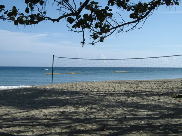 Voleibol — Foto de Stock